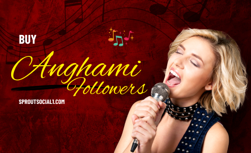 Buy Anghami Followers Now