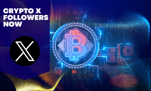 Buy Crypto X Followers Service
