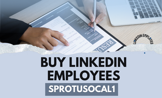 Buy LinkedIn Employees Service