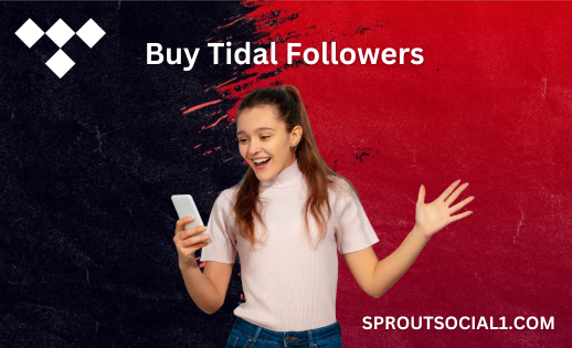 Buy Tidal Followers Now