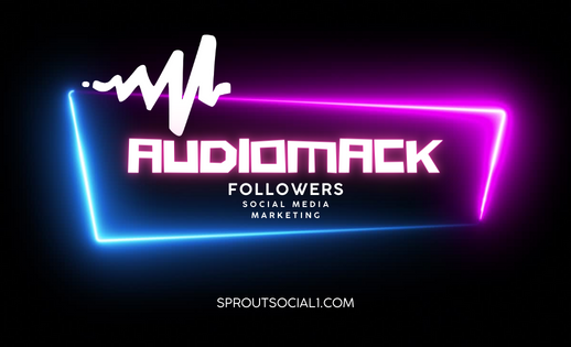 Buy Audiomack Followers smm Service