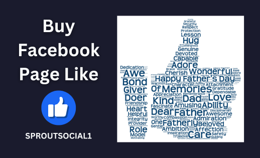 Buy Facebook Page Likes Service